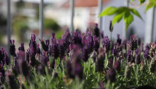 Pegnitz Apartement - Foto 5