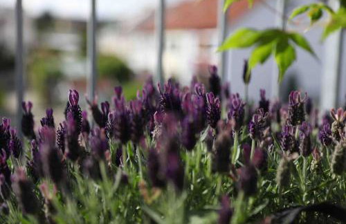 Pegnitz Apartement - Foto 5