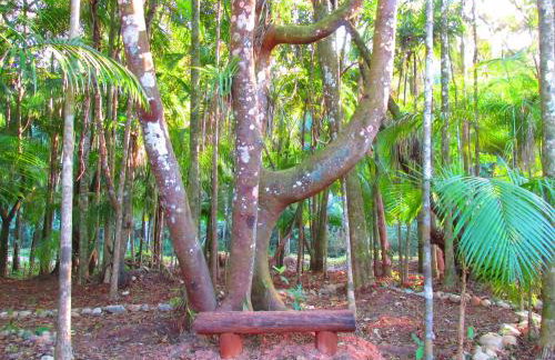 Refúgio dos Valdenses - Photo 41