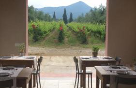 Agriturismo Tra gli Ulivi, Chiappini Winery - Photo 43