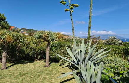 Quinta da Meia Eira - Photo 74