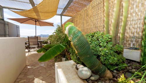 Jurinea Carboneras - Foto 5