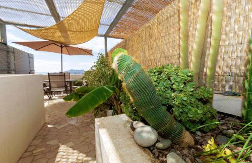 Jurinea Carboneras - Photo 5