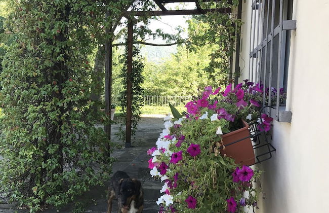 Il Pezzatino - Photo 67