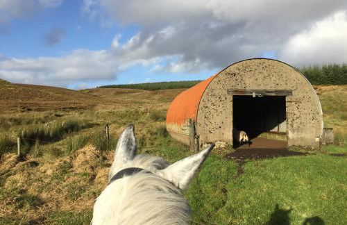 Foyle Cottage - Foto 18