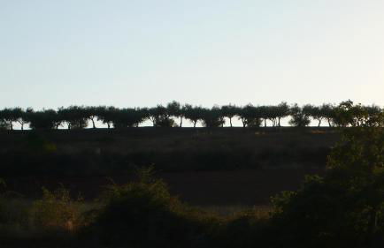 Casa da Ti Cura - Foto 29