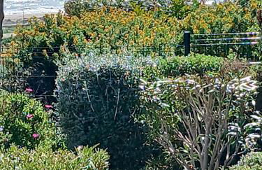 Plain-pied Jardin 6 personnes Clim Vue Mer Parking Wifi Terrasse Piscine dans la résidence - Foto 47