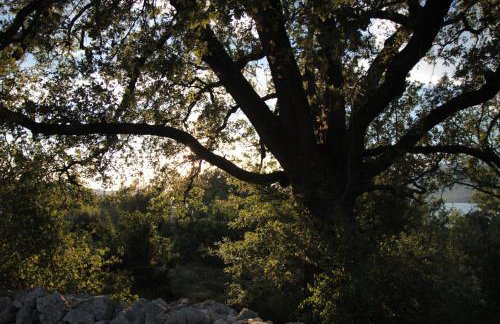 Apartments Irina - Foto 30