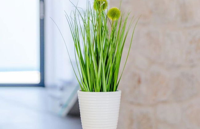 Villa Stone Pearl - Two Bedroom Holiday House With Pool - Foto 64