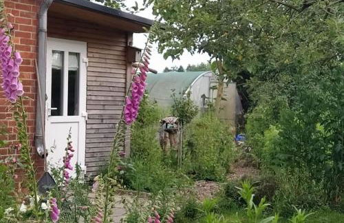 FairSchlafen - Gartenwohnung - Foto 8