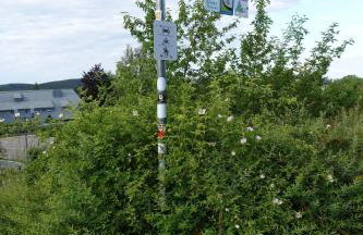 Ferienwohnung Schwarzwaldgrün - Photo 14