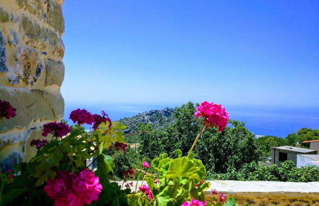 Villa Rosa - Foto 80