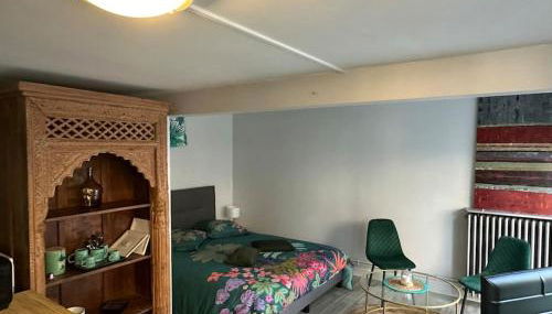 Studio indépendant avec jardin - Photo 3