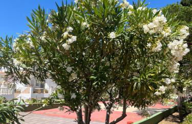 BEROLINA SUNBEACH Torrox Costa - Photo 23