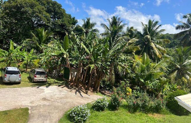 Paul's Residence - Foto 21