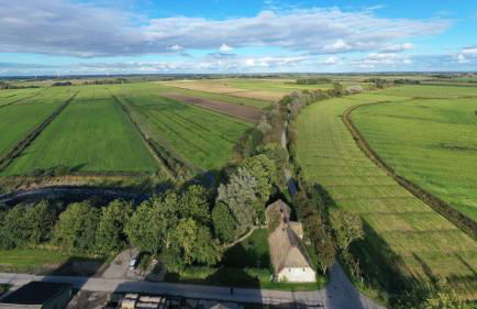 Alte Schmiede - Foto 12