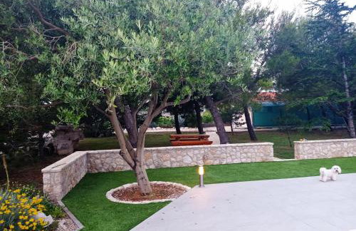 Apartment in Casa Porta Luna, Gajac, Novalja - Foto 7