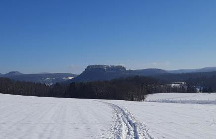 Pirna Altstadtgeflüster - Photo 38