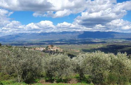 Tuscan Hills - Dimora storica in Chianti - Foto 21