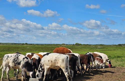 Robins Sunset Holiday Home - Foto 35