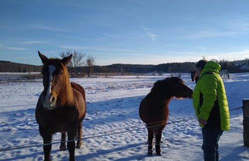 Ptasi Zakątek - Foto 17