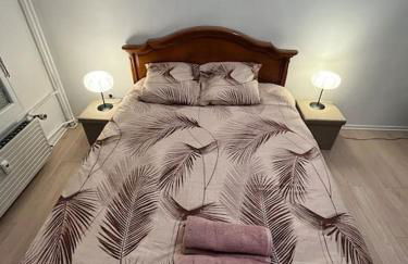 Maghy Appart à Strasbourg - Foto 11