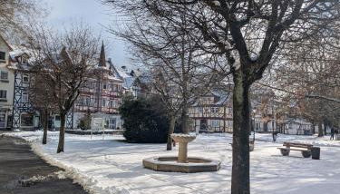 Ferienwohnung Haus am Wald - Foto 2