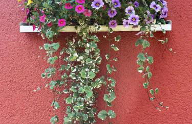 Neu sanierte Wohnung für 2-4 P - Foto 18