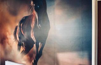 3 Bed Cottage - Sleeps 6 - Pets - Garden - Parking - Foto 30