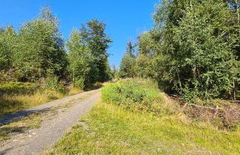 Haus Kellerwald - Ferienwohnung Kellerwald-Edersee - Foto 45