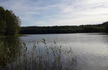 Leśna Chata Kaszuby - Foto 39