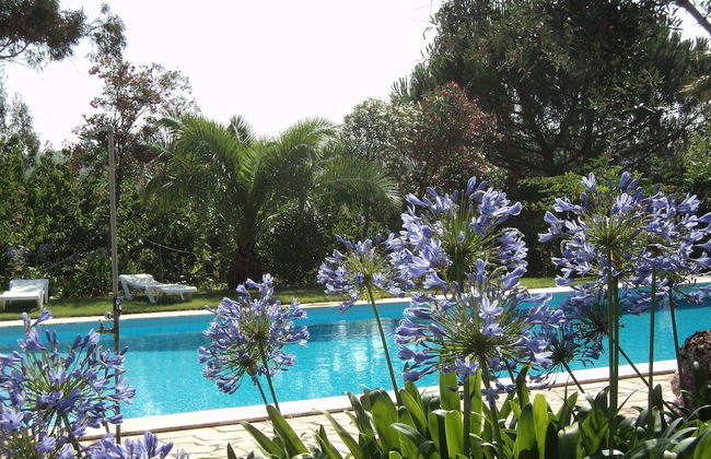 Quinta Retreat With Pool and Olive Grove - Foto 32