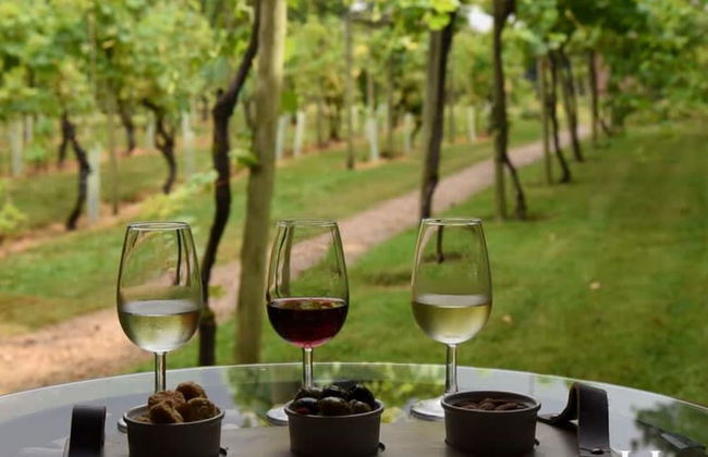 Luxurious 4 Bedroom Vineyard Villa Stanlake Park - Foto 5