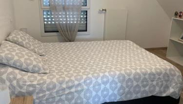 Golfe du Morbihan - Foto 5