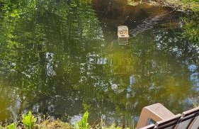 Cozy Tiny House off Mtn Loop Hwy on shared lot - Great for nerby hiking - Foto 38