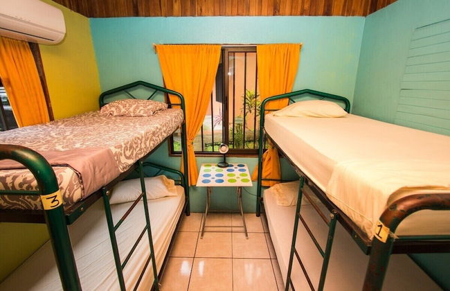 Pura Natura Lodge - Foto 72