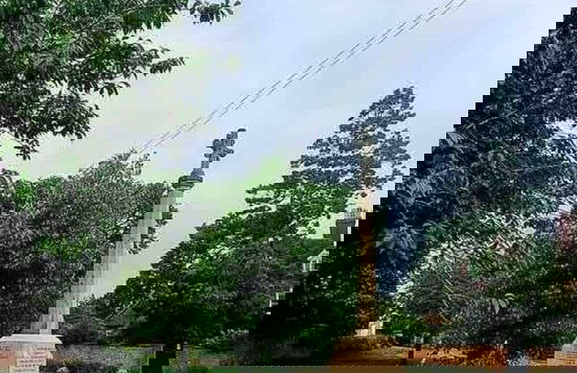 Village Period Cottage Next to a Idyllic Stream - Foto 25