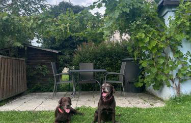 Ferienhaus Leopold mit Burgblick an der Mosel - Foto 58