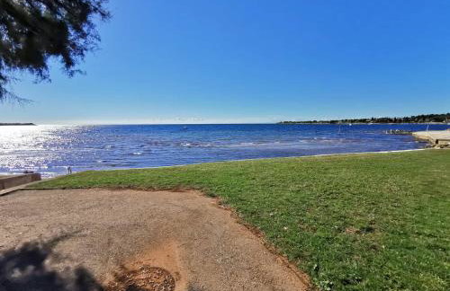 App Palčić K - Photo 23