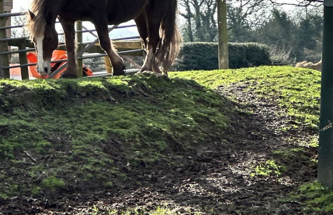 Captivating 1-bed Apartment in Hereford - Foto 39