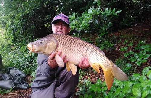 Charming 2-Bed Cabin in Domfront-en-Poiraie - Foto 28