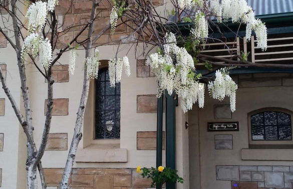 Water Bay Villa Bed and Breakfast - Foto 54