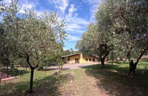 Agriturismo Gardenali - Foto 49