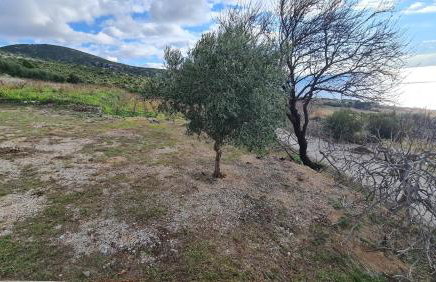 Villa More - Photo 59