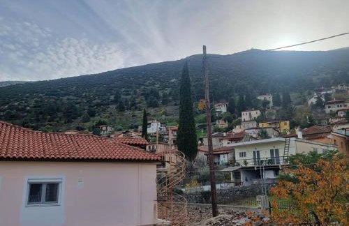 Βίλα Ελιά Παραδοσιάκο σπίτι στην Αμφίκλεια - Foto 32