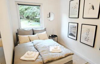 Haus Orbis Noster im Harz - Whirlpool und Sauna - direkt am Wald - Foto 20