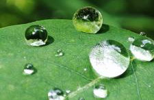 Chwile w Starym Sączu, sauna i beczka - Foto 40