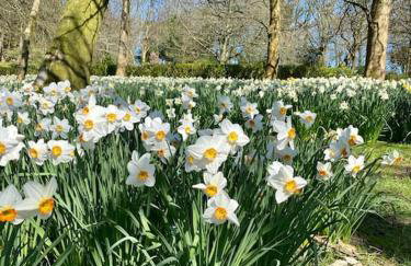 Oyster Cottage - Foto 19