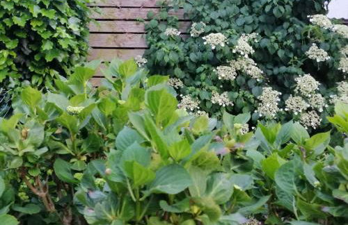 Ferienwohnung Am Steinchen - Foto 8