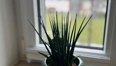 Ruhrperle Apartment 2 Essen - Foto 5, Garden view